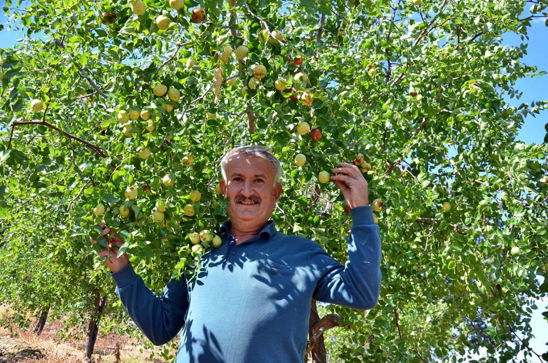 Kilosu 125 TL: Hem tok tutuyor, hem bağışıklığı güçlendiriyor! 6